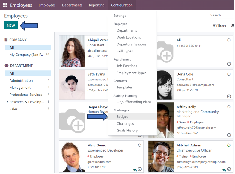 Challenges and Badges in Odoo