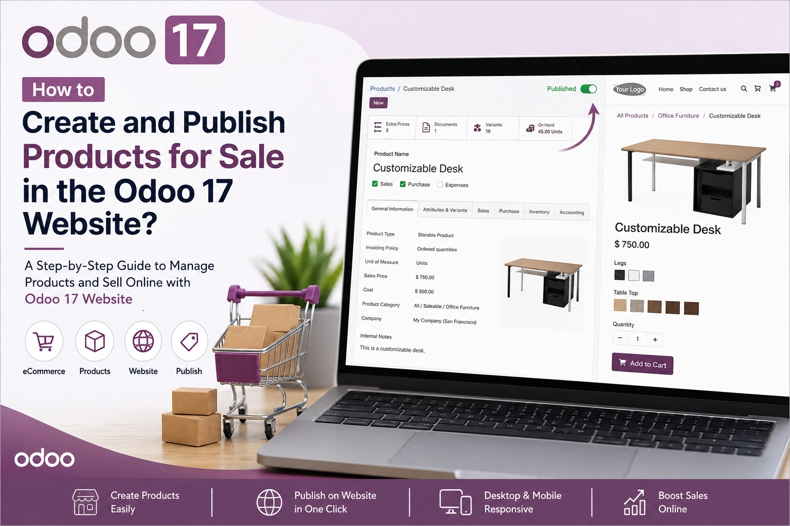 Create and Publish Products for Sale in Odoo 17 Website