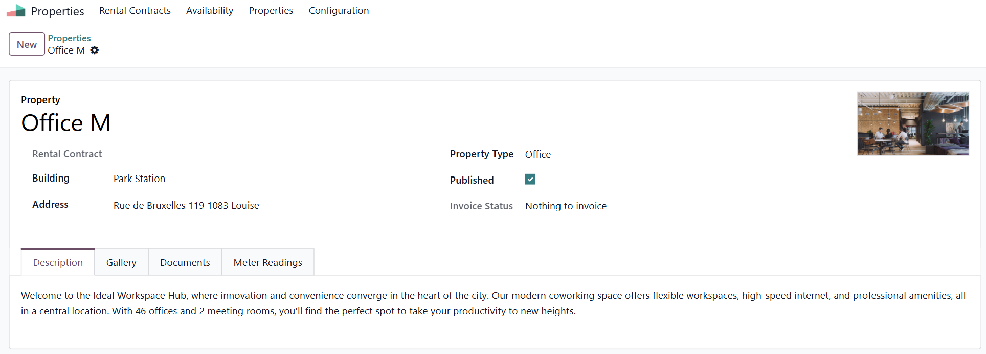 Odoo Property Management property form with tabs in Odoo 19